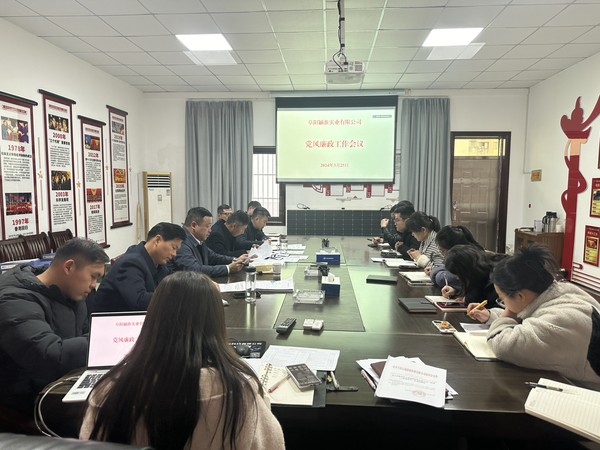 潁淮實(shí)業(yè)黨風(fēng)廉政建設會(huì )議圖片.jpg